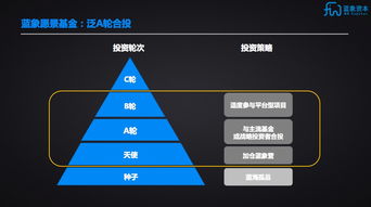 藍象資本聯合芥末堆成立藍象愿景基金，聚焦A輪實業投資