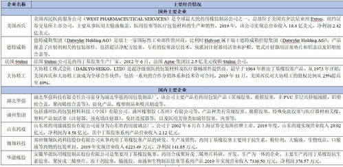 2021年藥用膠塞項目投資分析報告 實業(yè)投資視角下的機遇與風(fēng)險評估